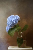 Blue Hydrangea In A Vase Fine Art Print