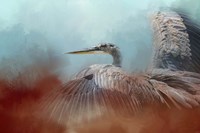 Emerging Heron Fine Art Print