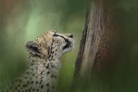 Facing Challenges Fine Art Print