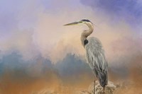 Heron On The Rocks Fine Art Print