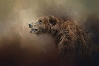 Morning Grizzly Fine Art Print