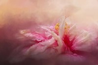 Rain Diamonds Fine Art Print