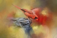 Dive In Fine Art Print