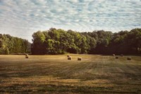 Harvest Time Fine Art Print