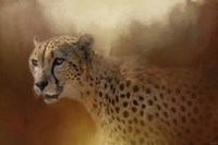 One With The Sun Fine Art Print