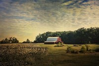 Red Barn At The Cotton Field Fine Art Print