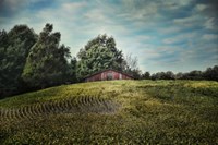 Red Barn On The Hill Fine Art Print