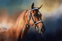 Bathed In The Evening Light Fine Art Print