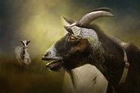 Calling Fine Art Print