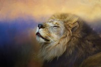 Do Lions Go To Heaven Fine Art Print