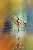 Many Colors 2 Framed Print