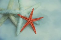 Ocean Treasures Fine Art Print