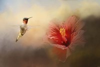 Romancing The Hibiscus Fine Art Print