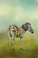 Summer Zebra 1 Fine Art Print