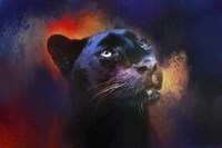 Colorful Expressions Black Leopard Fine Art Print