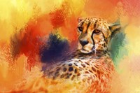 Colorful Expressions Cheetah Fine Art Print