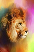 Colorful Expressions Lion Fine Art Print