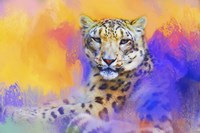 Colorful Expressions Snow Leopard Fine Art Print