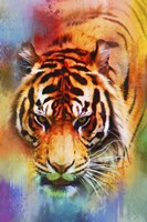 Colorful Expressions Tiger Fine Art Print