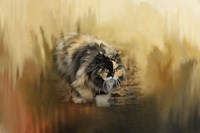 Stalking Autumn Fine Art Print