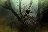 Storm At The Old Nest Fine Art Print