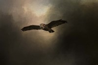 Night of The Owl 2 Fine Art Print