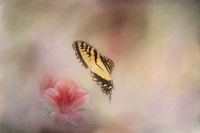 A Whisper Of Yellow Fine Art Print