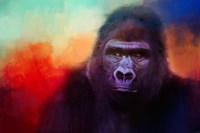 Colorful Expressions Gorilla Fine Art Print