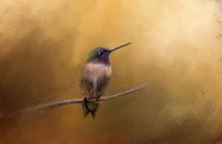 Hummingbird in Autumn Fine Art Print
