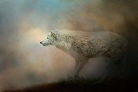 Journey Of The Timber Wolf Fine Art Print