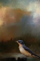 Keeping Watch Fine Art Print