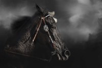 Let Me Run Fine Art Print