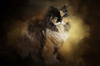 Sitting In Autumn Fine Art Print