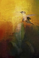 Sunlit Landing Fine Art Print