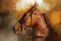 Tennessee Walker In August Fine Art Print