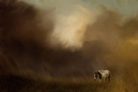 Traveling Through The Storm Fine Art Print