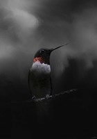 Waiting In The Darkness Fine Art Print