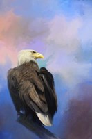 Watching Over The Heavens Fine Art Print