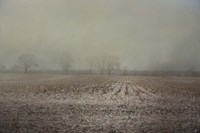 End Of A Season Fine Art Print