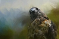 First Morning Light Fine Art Print