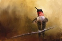 Get Up And Dance Fine Art Print