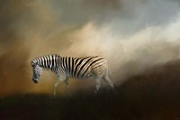 Going Home At Sunset Fine Art Print