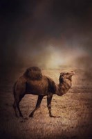 Hold Your Head High Fine Art Print