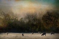 Peaceful Tennessee Morning Fine Art Print