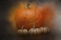 Pumpkins In October Fine Art Print