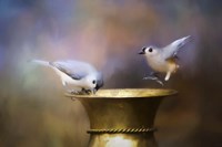 Afternoon Playtime Fine Art Print