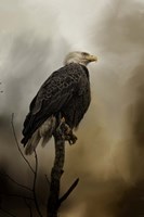 Cold Day In March Fine Art Print