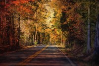 Falls Guiding Light Fine Art Print