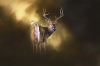 Nine Pointer Fine Art Print