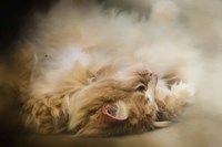 Upside Down Fine Art Print